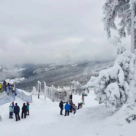Czarna Góra Stubai 29 *