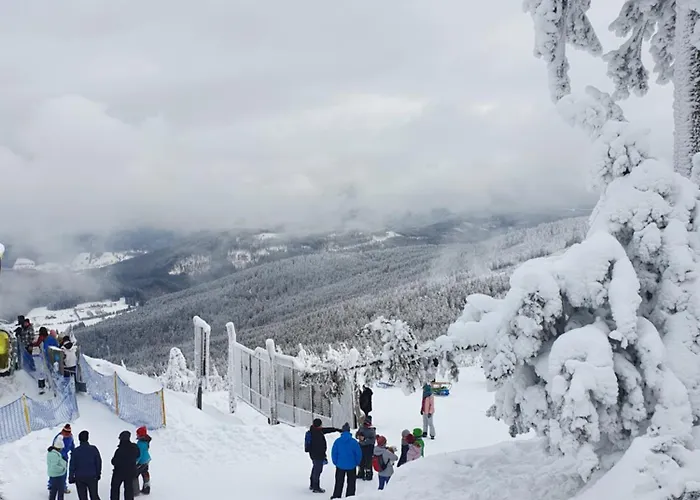 Czarna Góra Stubai 29 *